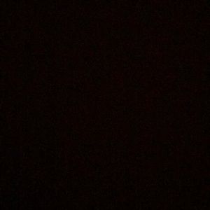 Meet your Posher, Annie